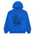 $10 Spooder Hoodie